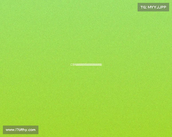 CBA论坛热议新赛季球队动态与球员表现分析